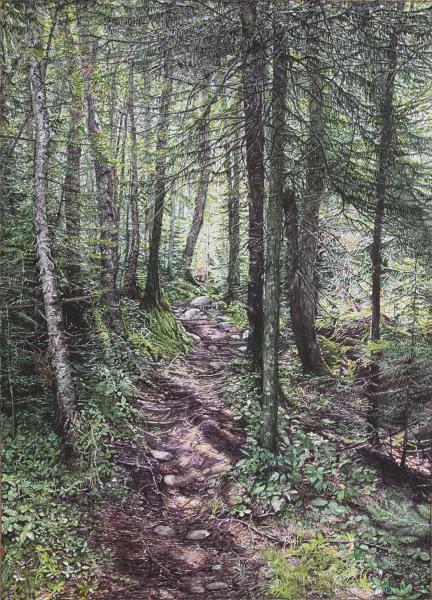 27055-the_road_to_nowhere_-_in_honor_of_nature-3620191153-77973