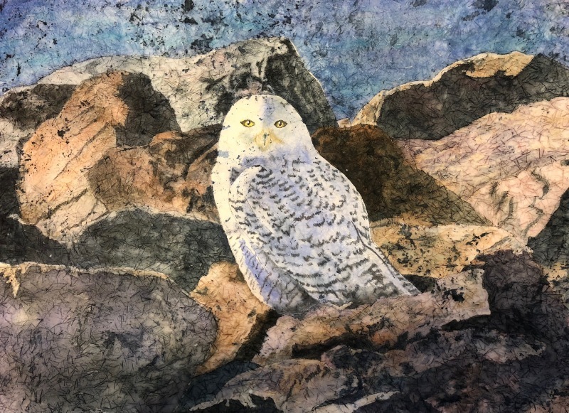 Jan Johnson, On the Rocks, Professional