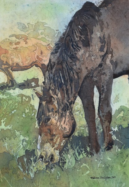 MELISSA VAN-EGDOM, Indian Paintbrush Wild Horse of ND Badlands, PROFESSIONAL