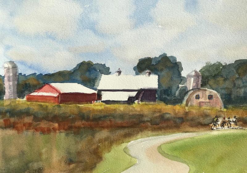 Wayne Sisel, Barns Bikes and Bridges, Professional