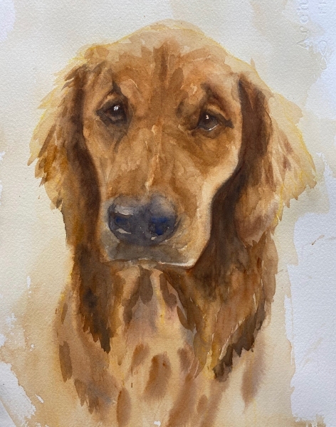 Good Boy, Professional 2022 by Shanna Cramer