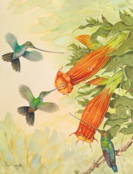 Swordbills and Brugmansia, professional by Ross Hier