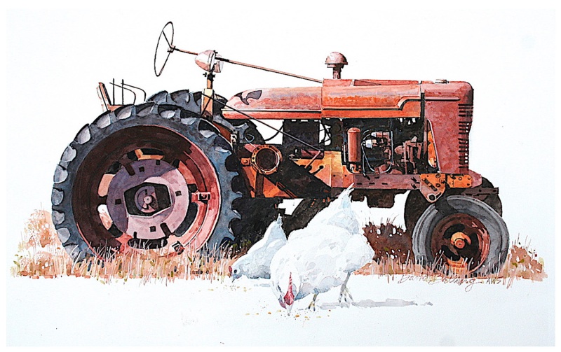 Belling-David_White-Chickens_750_300dpi