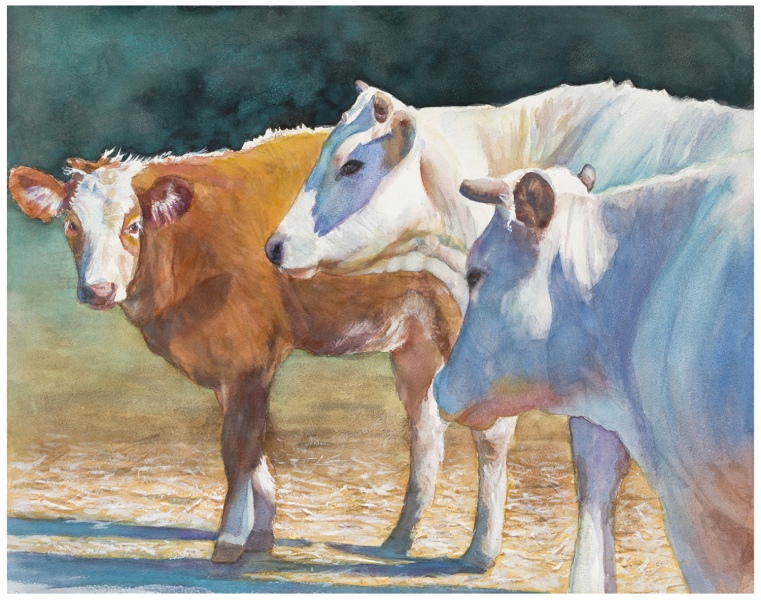 Rhoades-Shirley_Cows-of-Ojai_950_300dpi