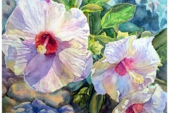 Axelson-Mary_Great-White-Hope_NFS_300dpi