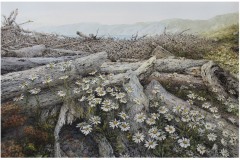 McGuire-Laurel-Lake_Of-Time-and-Tide_2500_300dpi