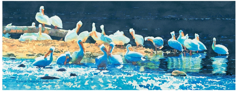 Chris Dillon Pelican Brief 8x21, 3/3/25, 3:39 PM,  8C, 3352x7754 (3377+1946), 108%, Custom,  1/12 s, R98.5, G65.1, B79.6