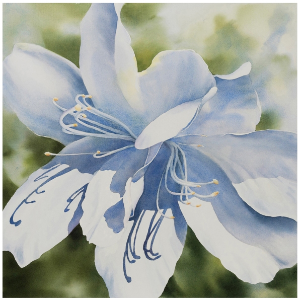 Johnson-Kie_Hope-Springs-Eternal_2000_300dpi