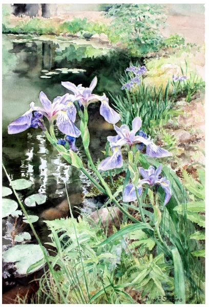 Shabino-Diane_Blue-Flag-Waters-Edge_1500_300dpi