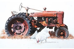 Belling-David_White-Chickens_750_300dpi