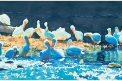 Chris Dillon Pelican Brief 8x21, 3/3/25, 3:39 PM,  8C, 3352x7754 (3377+1946), 108%, Custom,  1/12 s, R98.5, G65.1, B79.6