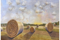 Humphers-Ginther-Sue_Prairie-Gold_1000_300dpi
