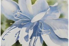 Johnson-Kie_Hope-Springs-Eternal_2000_300dpi