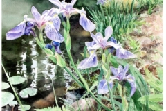 Shabino-Diane_Blue-Flag-Waters-Edge_1500_300dpi